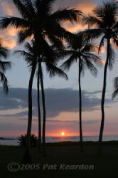 Mauna Kea Sunset, Big Island, Hawaii by Patrick Reardon 
